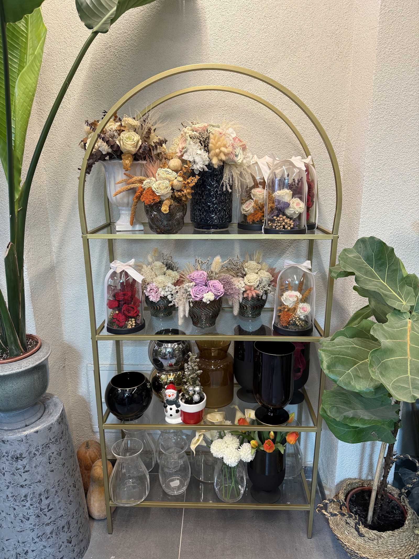 Orkide Flower Bilecik