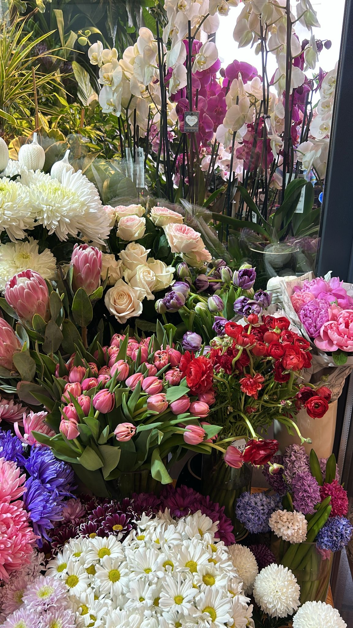 Orkide Flower Bilecik