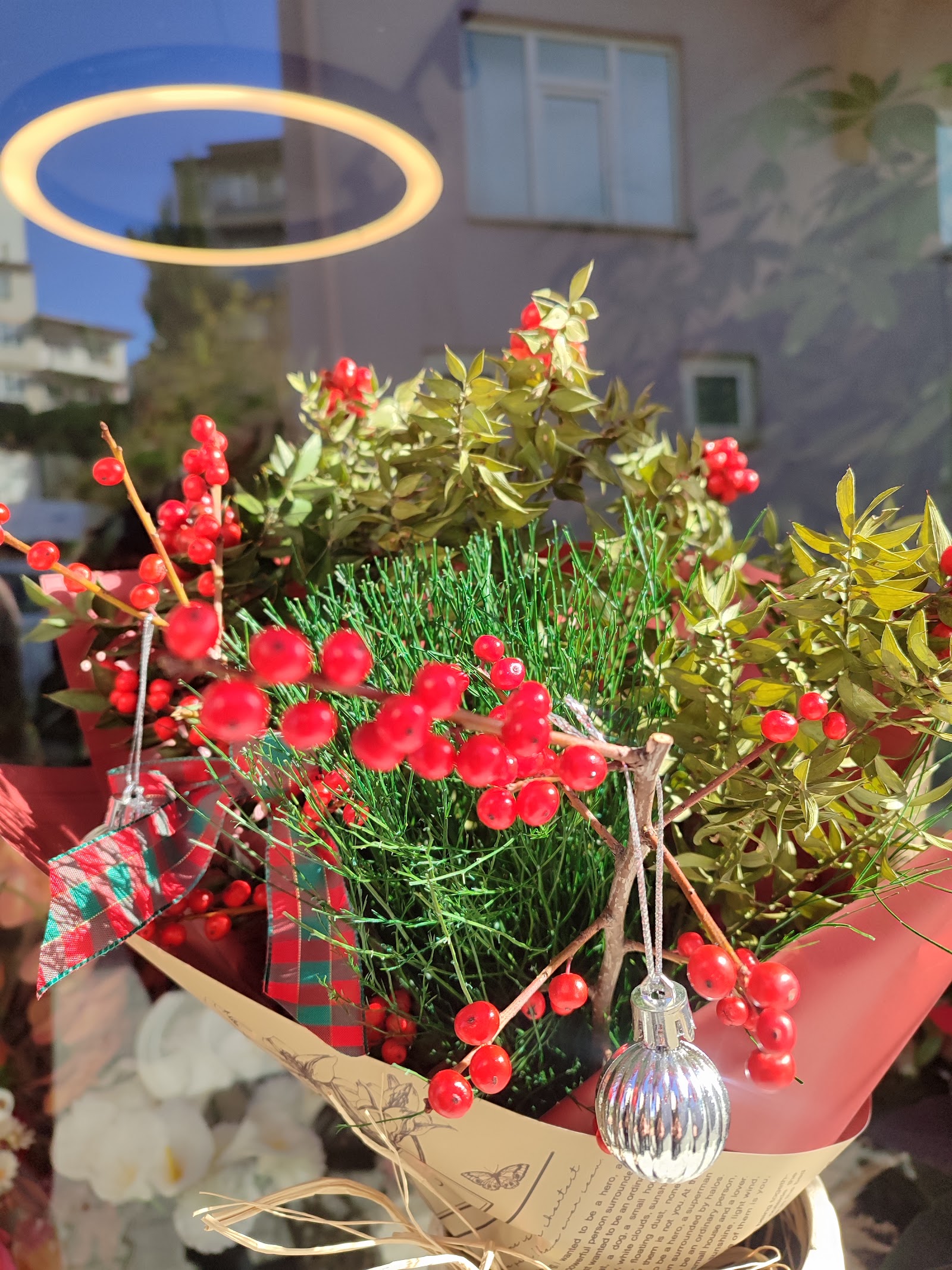 Orkide Flower Bilecik