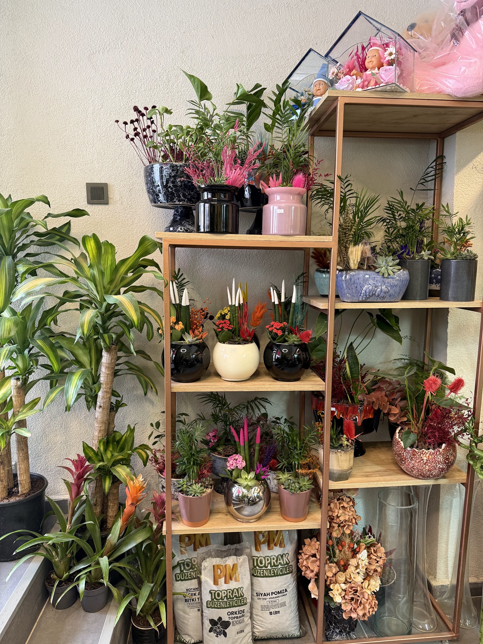 Orkide Flower Bilecik kır düğünü mekanı — Merkez