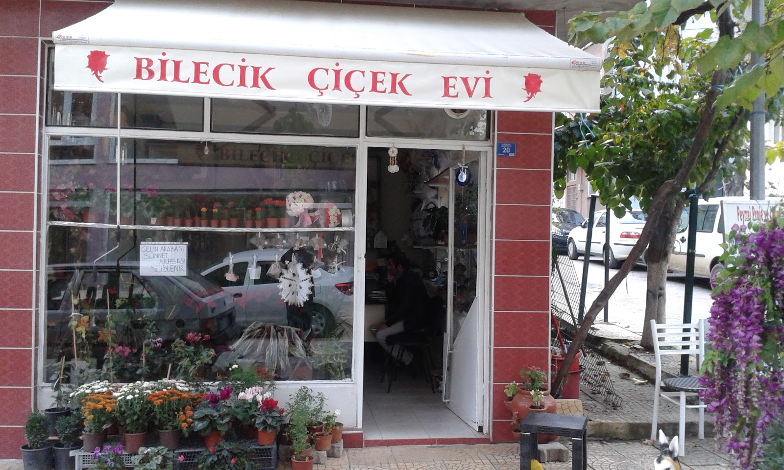 Zenginler Çiçekçilik kır düğünü mekanı — Merkez