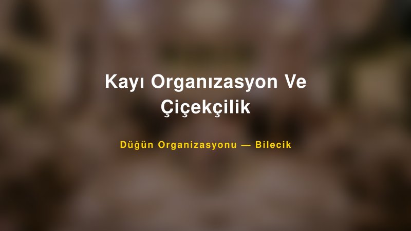 Kayı Organızasyon Ve Çiçekçilik — Bilecik Kır Düğünü Mekanı Rehberi