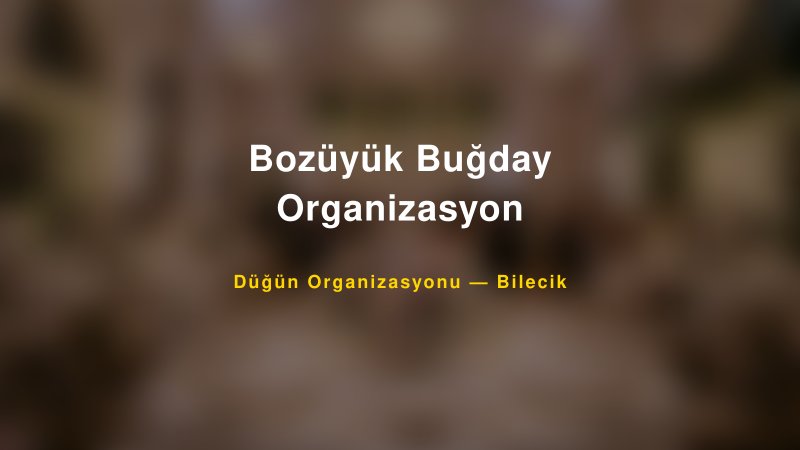 Bozüyük Buğday Organizasyon — Bilecik Kır Düğünü Mekanı Rehberi