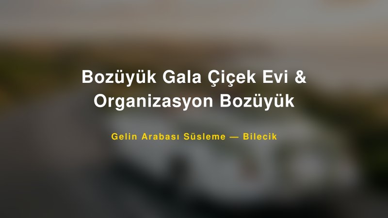 Bozüyük Gala Çiçek Evi & Organizasyon Bozüyük Bilecik Gelin Arabası Süsleme