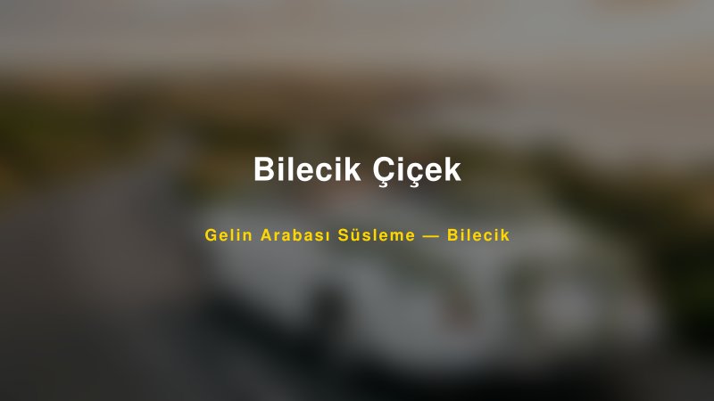 Bilecik Çiçek Gelin Arabası Süsleme Fiyatları