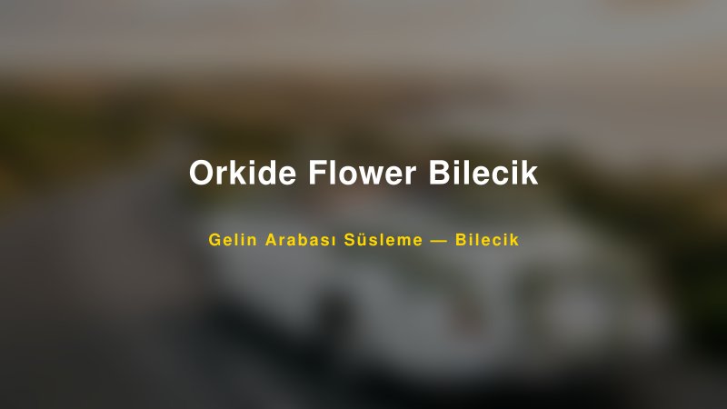 Orkide Flower Bilecik Gelin Arabası Süsleme Fiyatları
