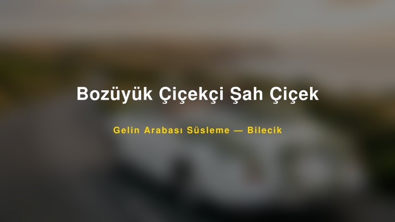Bozüyük Çiçekçi Şah Çiçek ile Trend Gelin Arabası Yazıları ve Konseptleri — 1